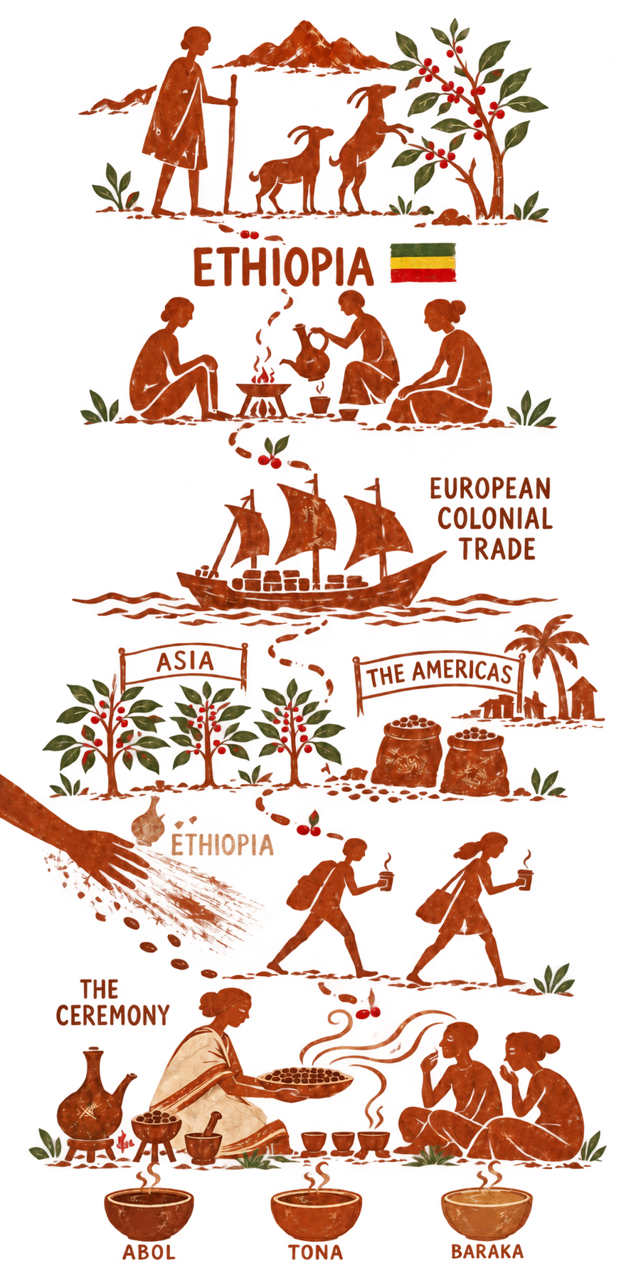 An illustrated journey from Kaldi and his goats in Ethiopia, through coffee’s global trade, back to the Ethiopian ceremony and its three rounds: Abol, Tona and Baraka.